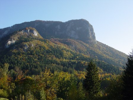 Slika