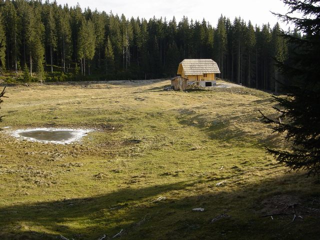 Slika