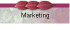 Marketing