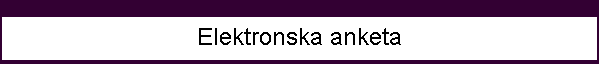 Elektronska anketa