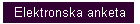 Elektronska anketa