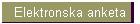 Elektronska anketa